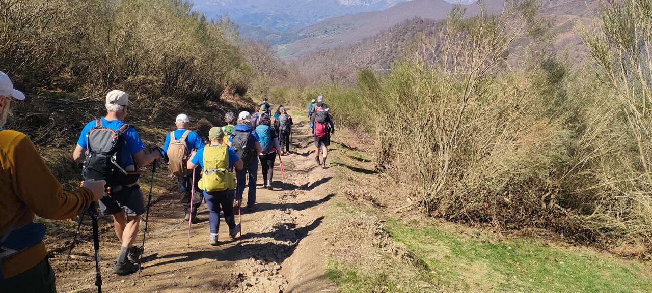 WhatsApp Image 2026-03-23 at 08.14.04